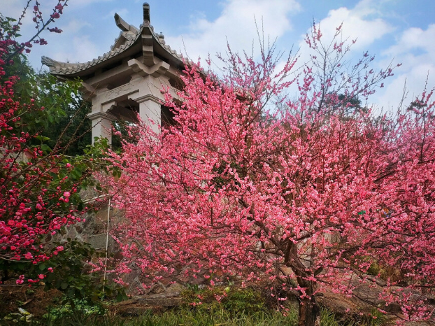 R13X3L3TXML65C}J6ELE@EP.png R13X3L3TXML65C}J6ELE@EP.png